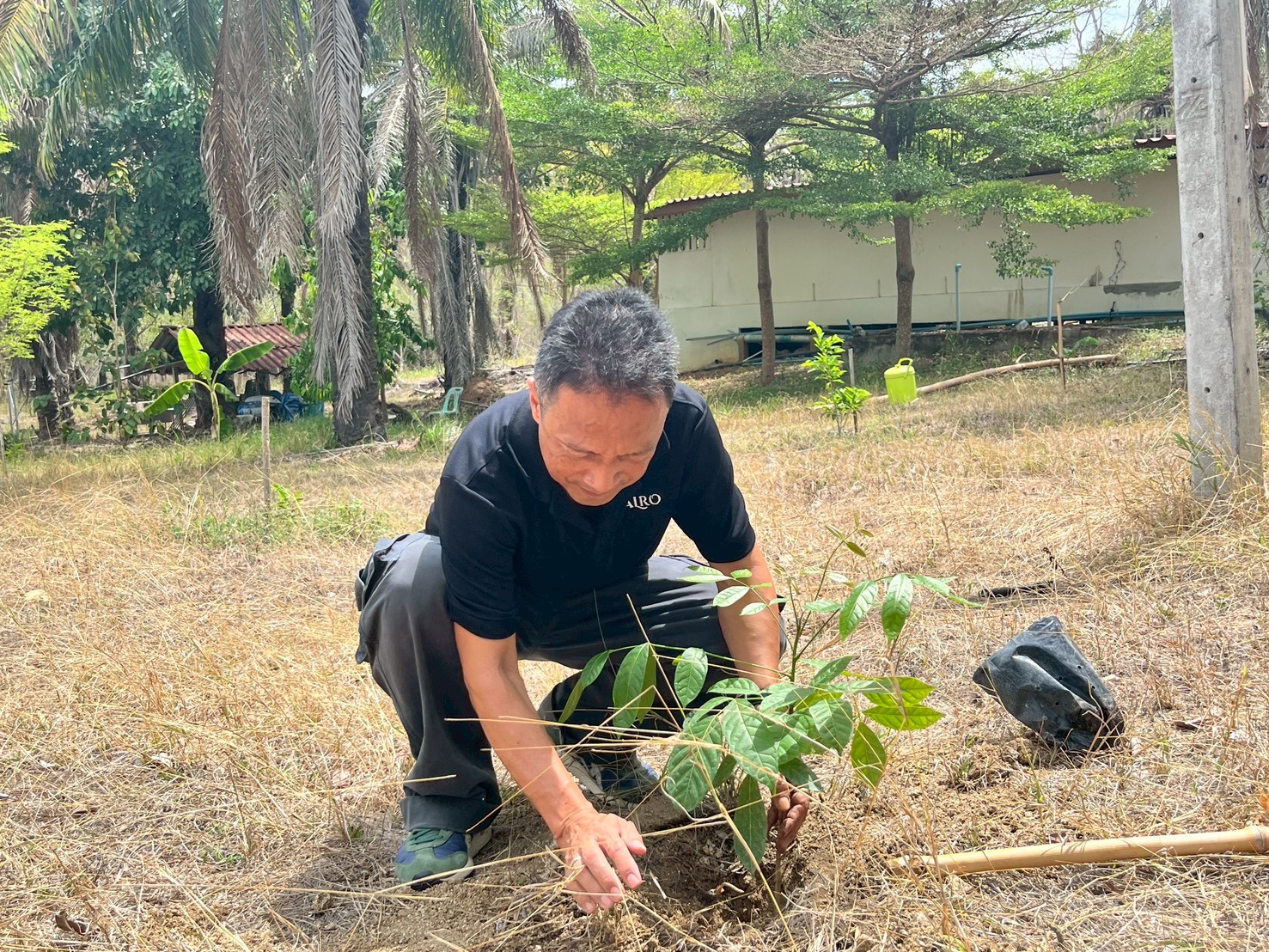 title - ส.ป.ก.ประจวบคีรีขันธ์ วันที่ 7 พฤษภาคม 2569 ดำเนินการจัดกิจกรรมปลูกต้นไม้เนื่องในวันต้นไม้ประจําปีของชาติ พ.ศ. 2569 ณ วัดรัตนวิเวกคลองวาฬ ตำบลคลองวาฬ อำเภอเมืองประจวบคีรีขันธ์ จังหวัดประจวบคีรีขันธ์